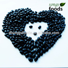 Chinese Black Kidney Beans